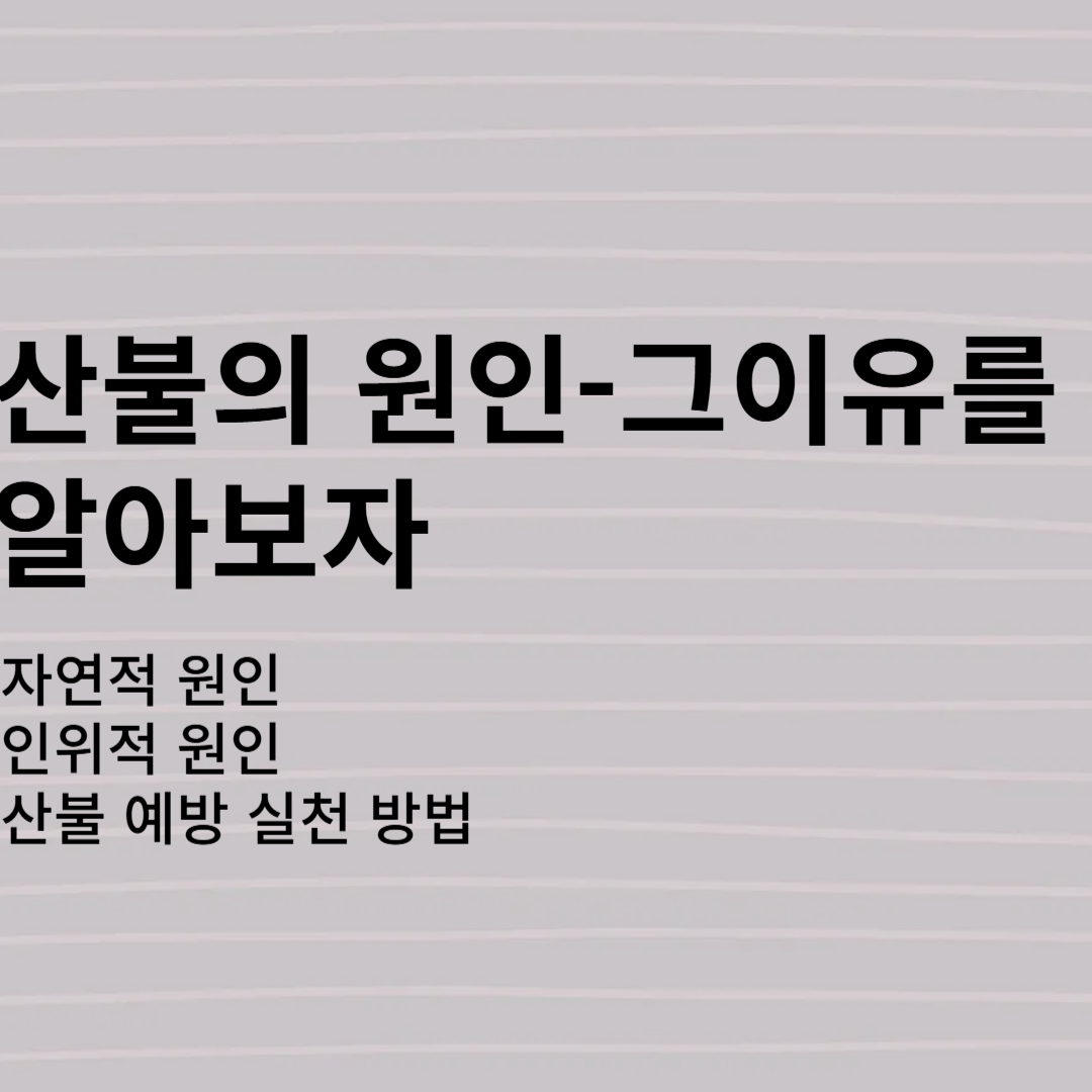 산불의 원인-그 이유를 알아보자