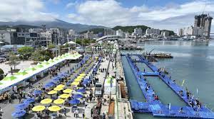 2024 완도 장보고 수산물 축제 기본정보와 프로그램 및 특징 소개 양지은 딘딘 브브걸 송미눈 황가림 슬리피 노디시카 키디비 브레이브 걸스 출연