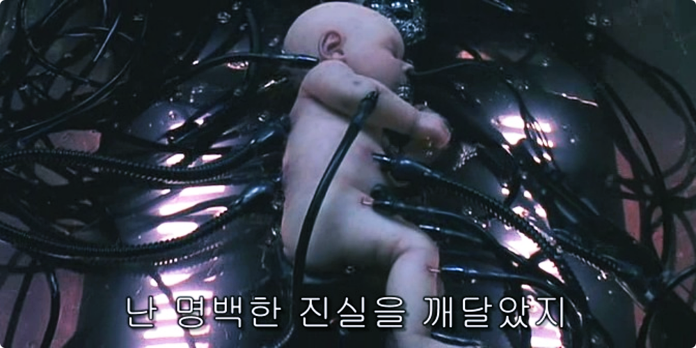 버튜버의 빨간약에 대한 소송