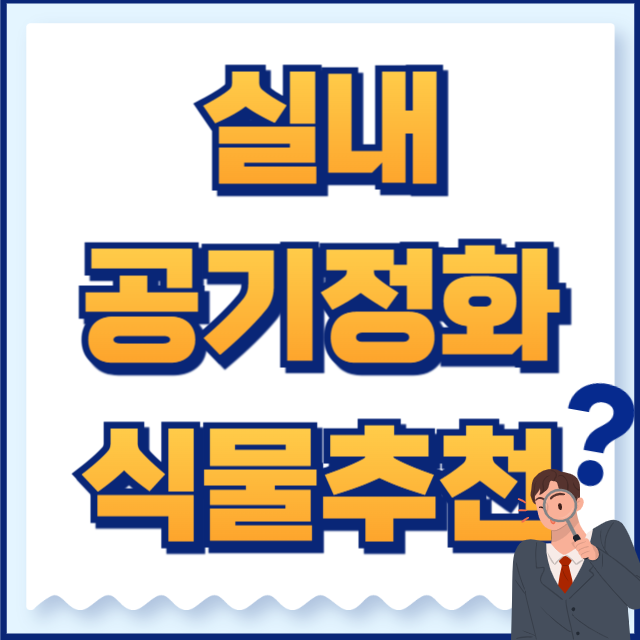 실내 공기정화 식물 추천