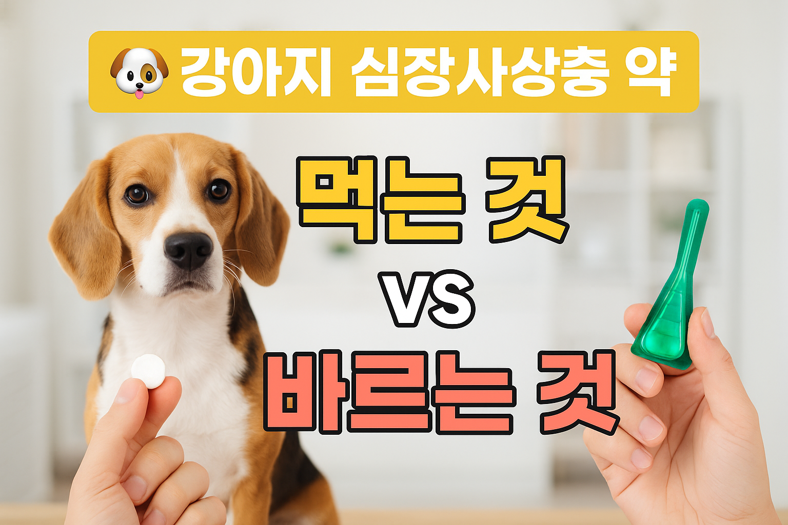 🐶 강아지 심장사상충 약, 먹는 것 vs 바르는 것
