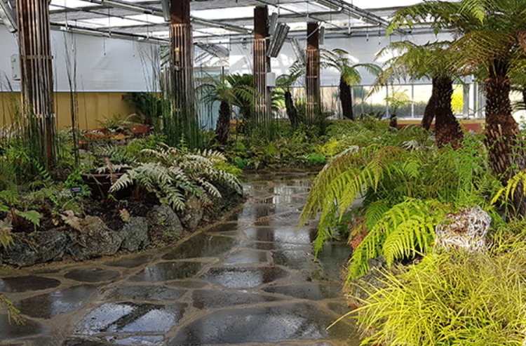 태안 안면도 수목원