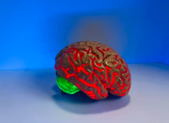 치매 초기증상 8가지