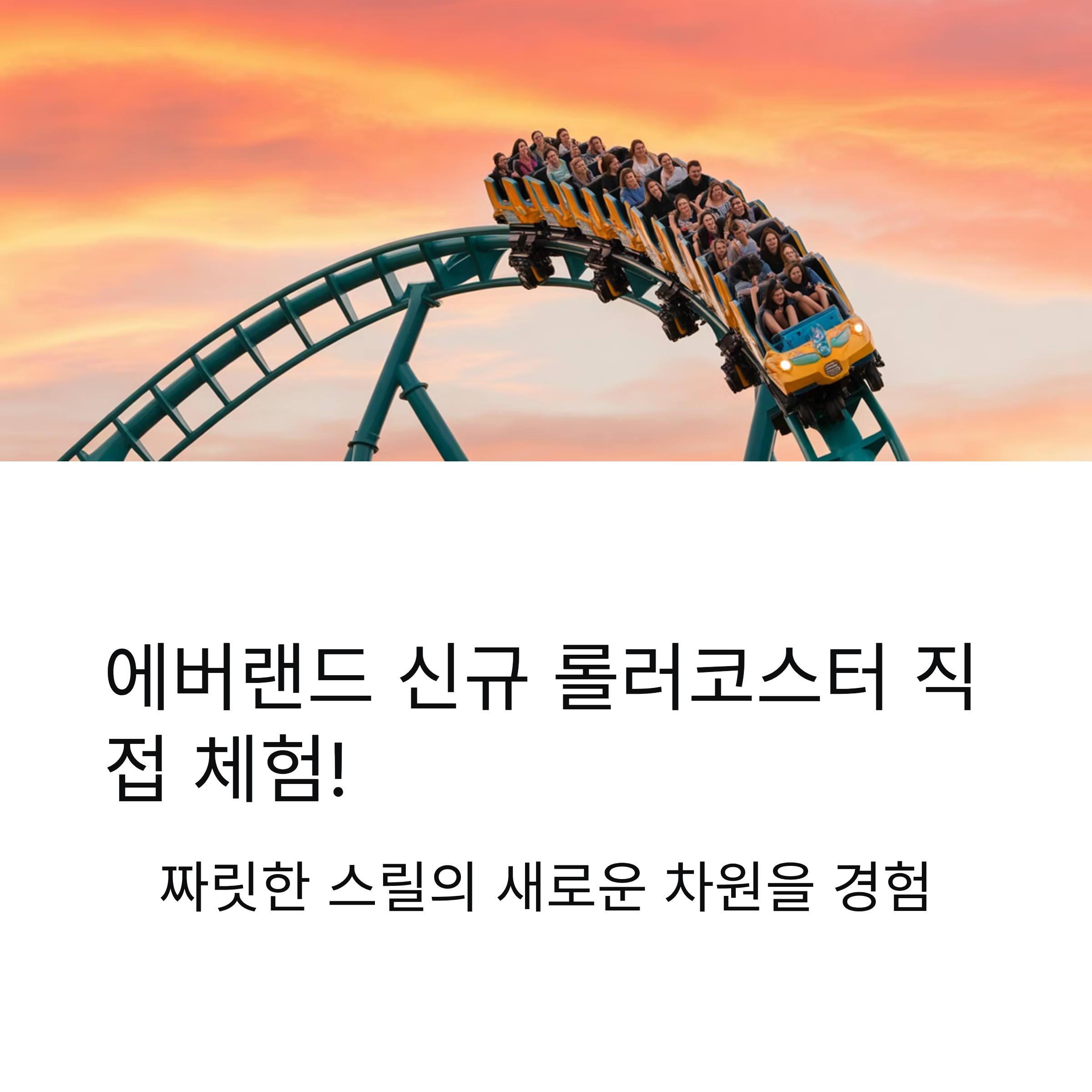 에버랜드 신규 롤러코스터 공개, 직접 타본 후기