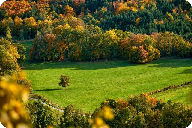 청남대 예약접수 및 입장료 알아보기 - 청남대 예약접수 - 매표소 안내
