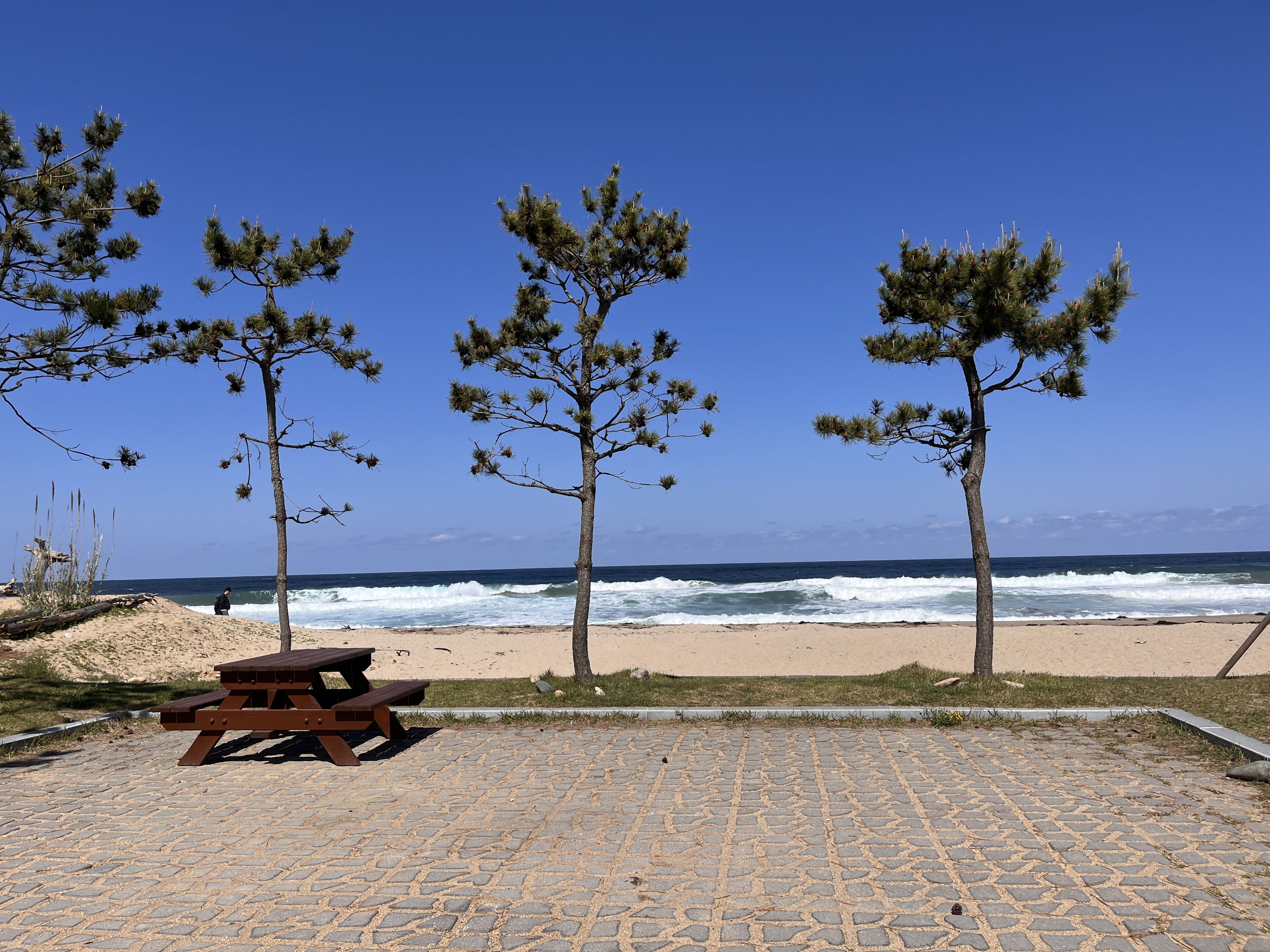 바다뷰가 보이는 울진염전해변캠핑장 사이트 사진