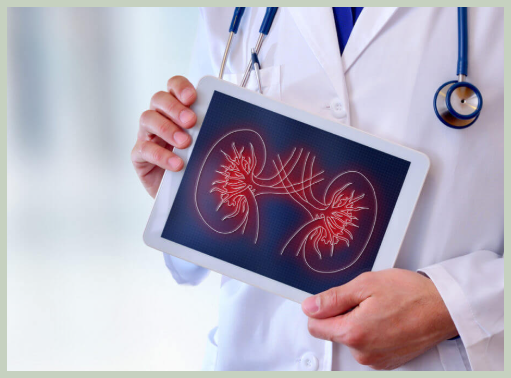 콩팥 안 좋을때 치료 방법