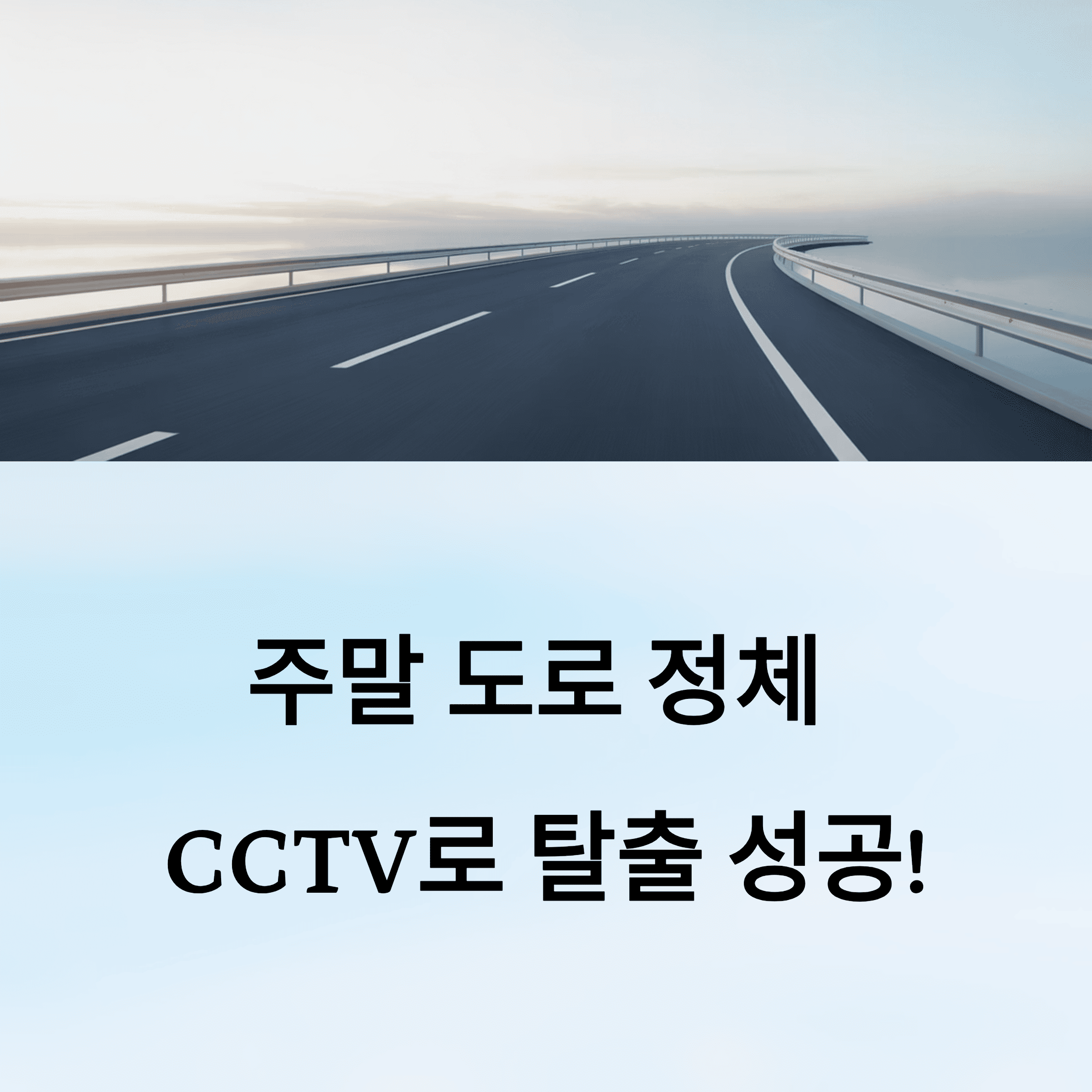 고속도로 CCTV로 막힌 길 탈출한 생생 후기