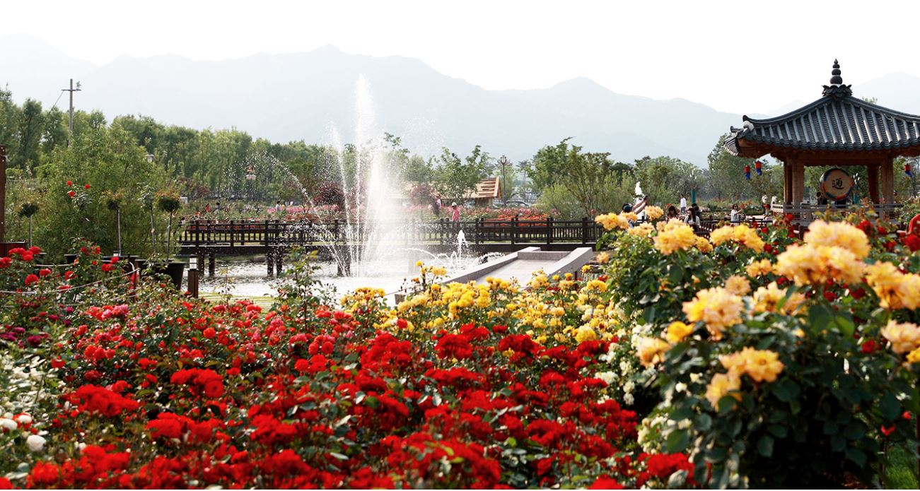 출처-곡성문화관광