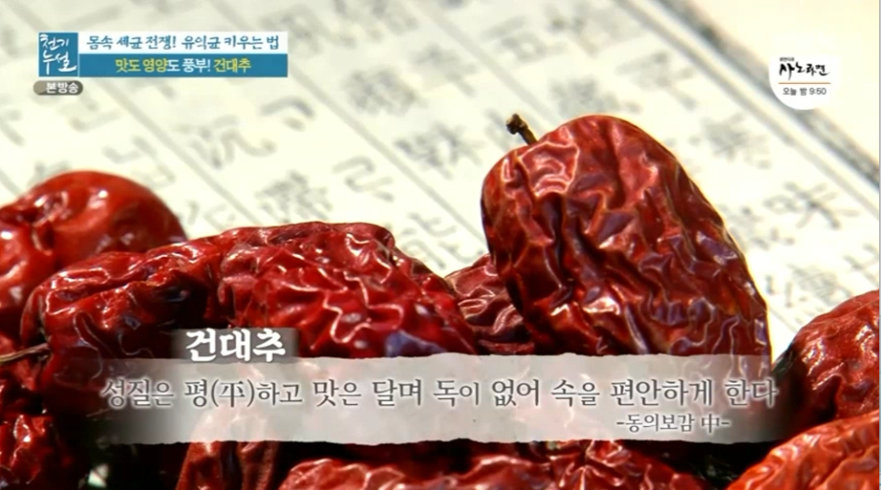 대추 사과대추 효능 대추차 생대추 건대추 고르는법 칼로리 보관법