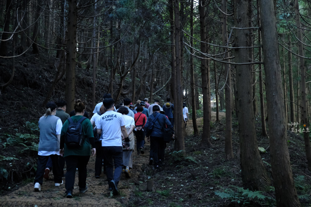 거문오름 올라가는 길