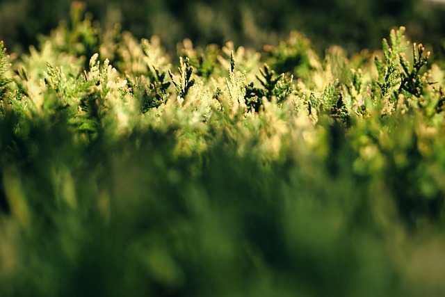 자산 포트폴리오란 무엇인가?