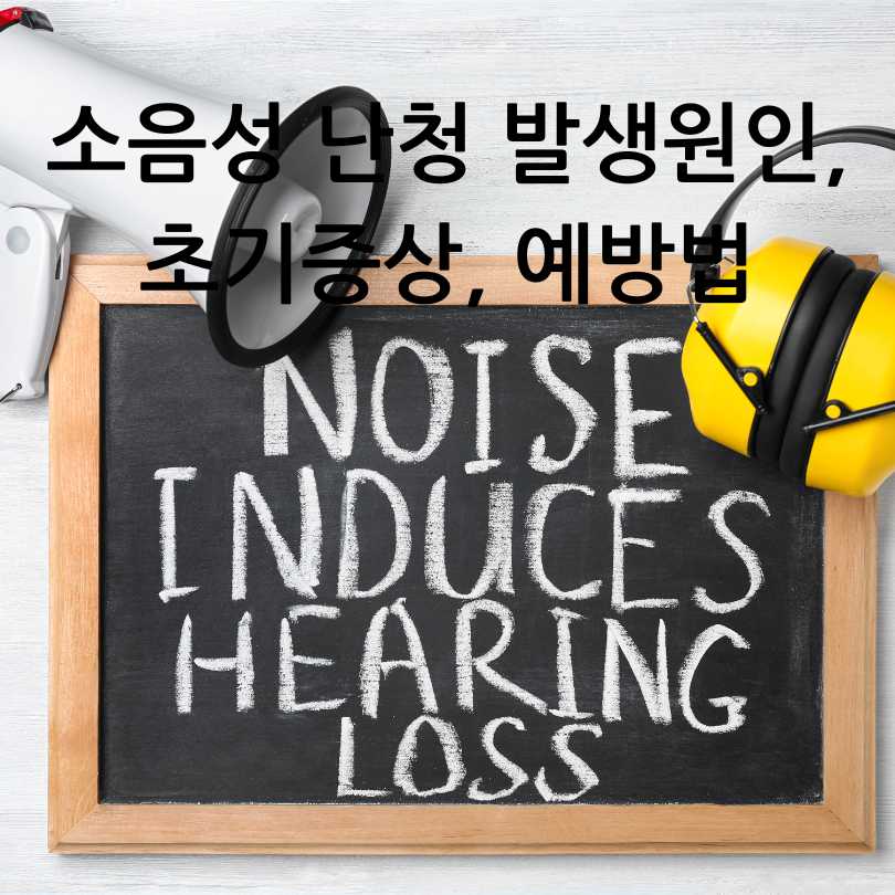 소음성 난청