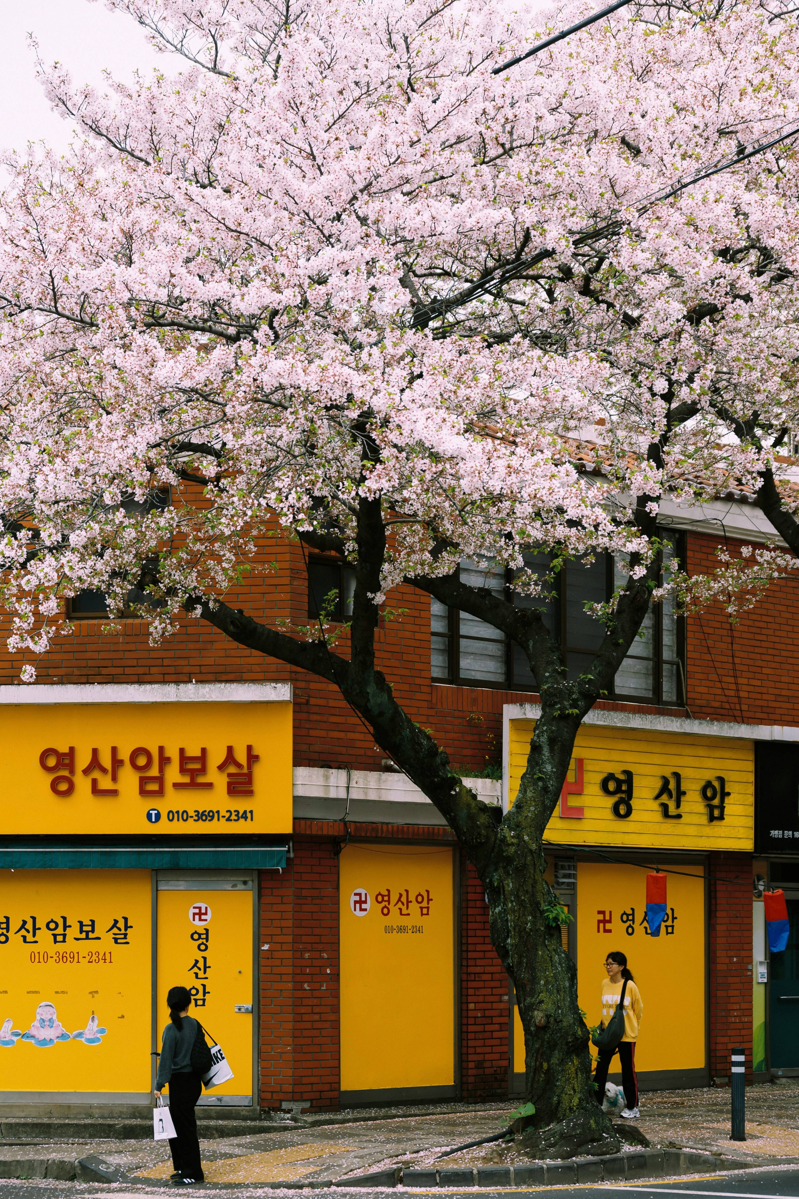 소상공인 개인 사업 가게