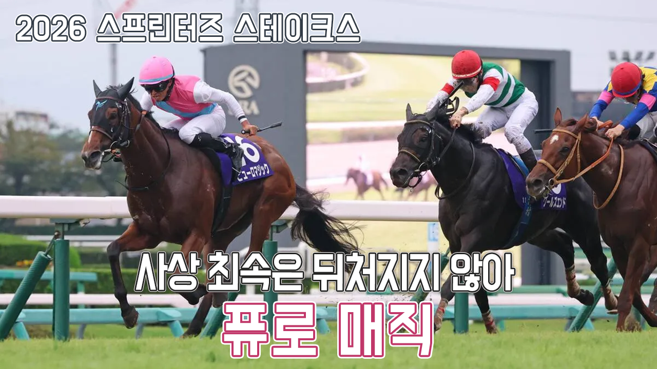퓨로 매직 - 2026 스프린터즈 스테이크스 「단 1분만 더 빠르면 된다」