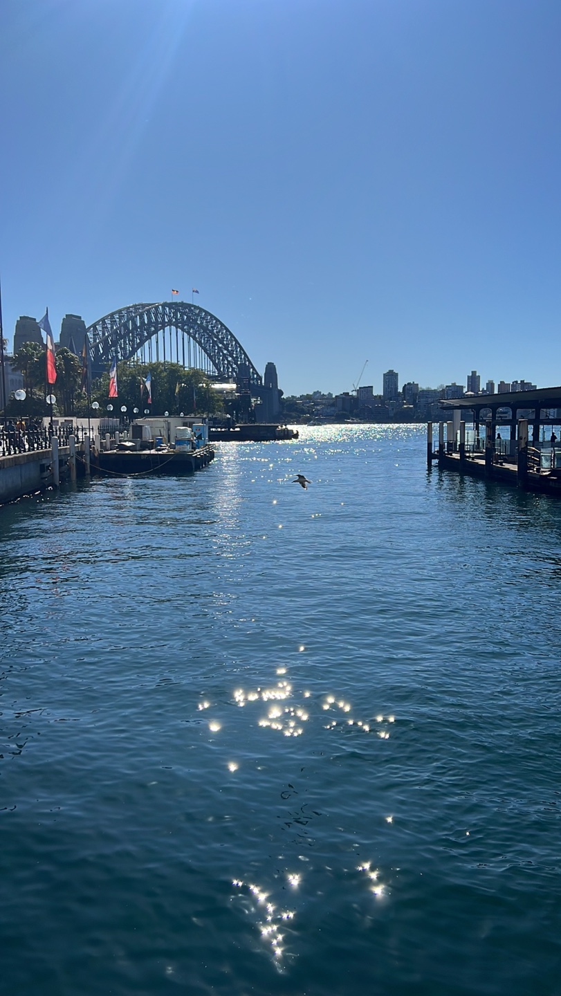 호주-시드니-하버브릿지-써큘러키