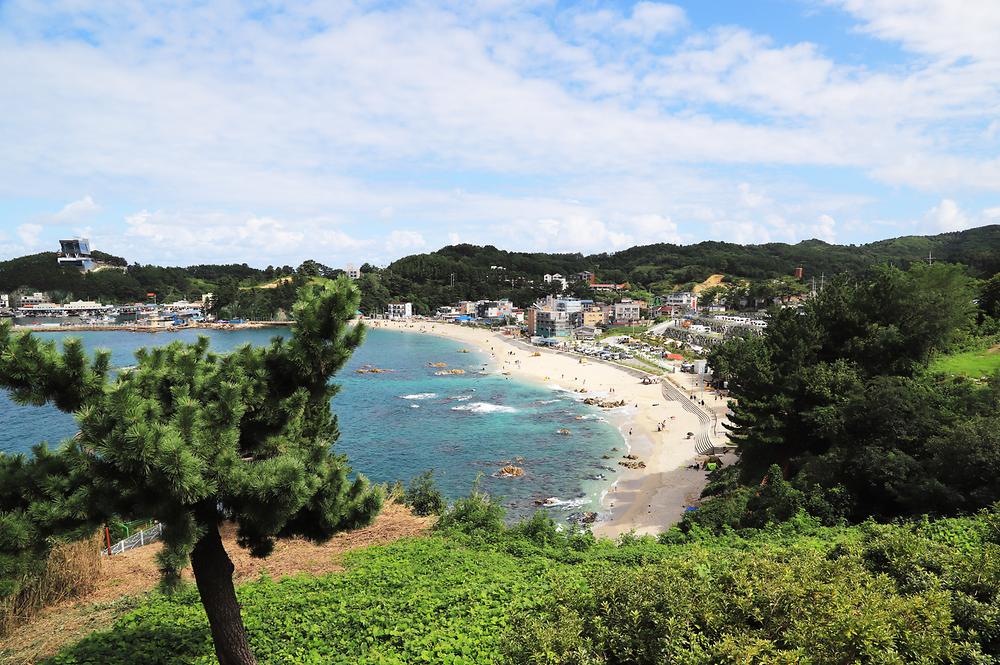 강원도 삼척 장호비치캠핑장 소개