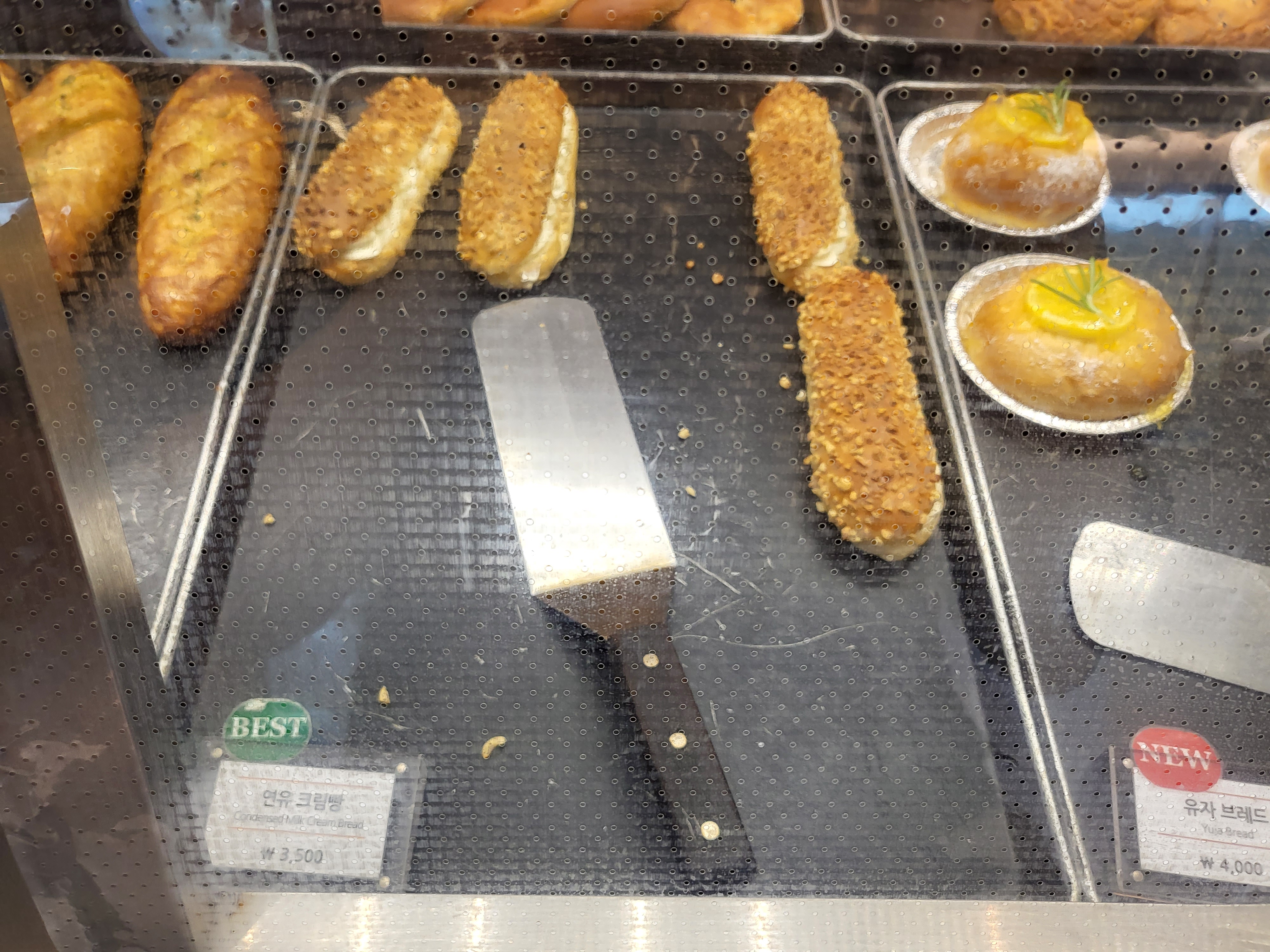 지금이곳 - 빵진열5