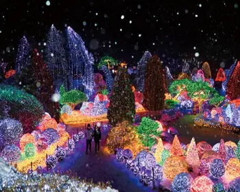 아침고요수목원 오색별빛정원전_3