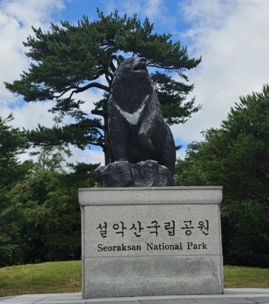 강원도 속초 가볼만한곳 베스트 10