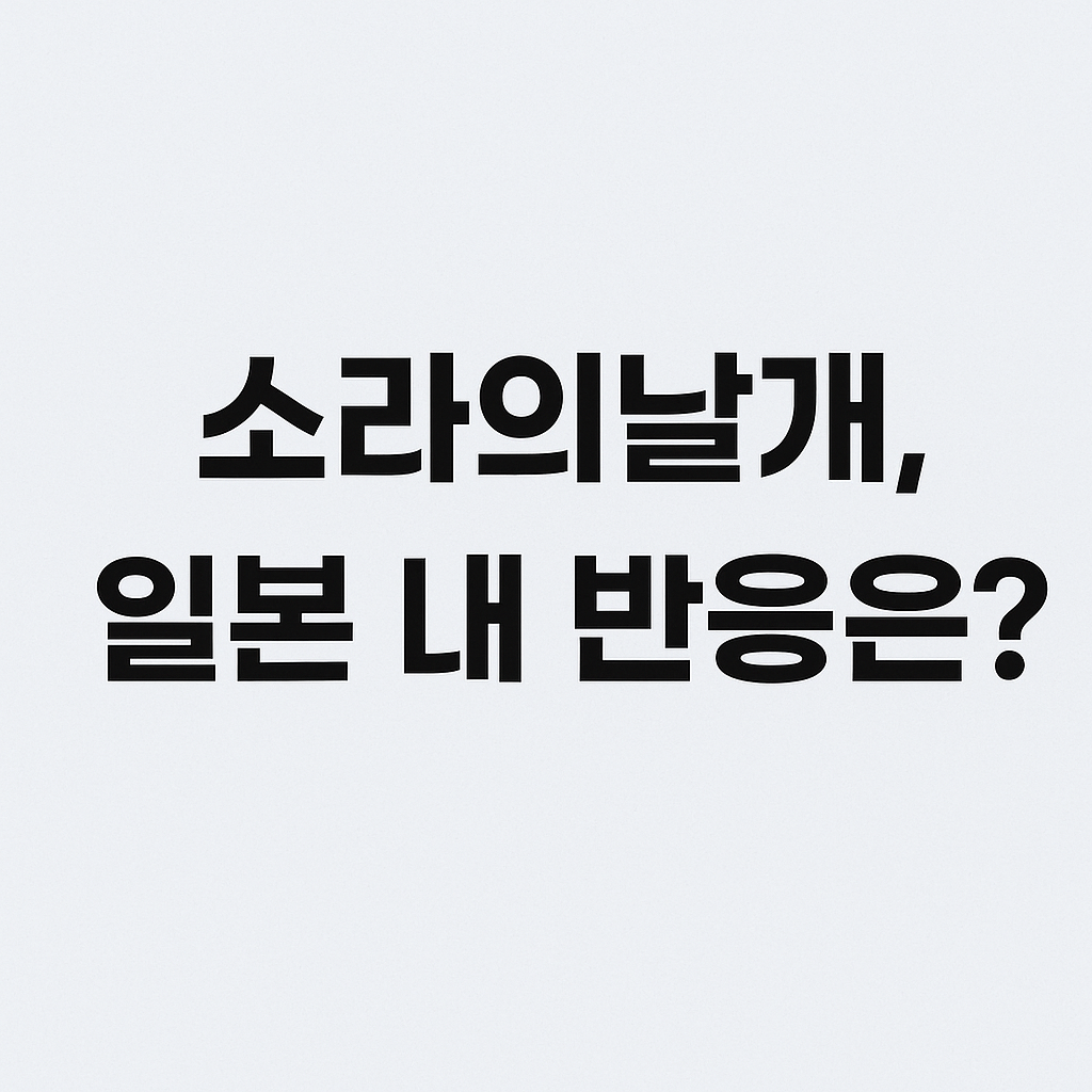 소라의날개, 일본 내 반응은?