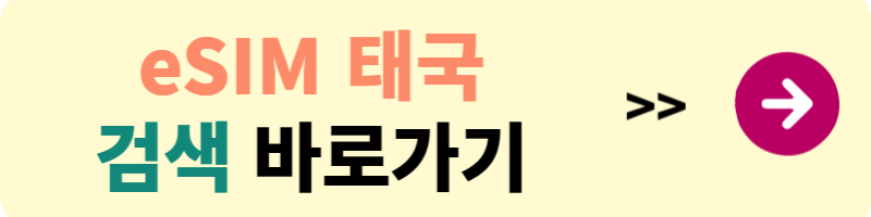 해외유심 eSIM 사용법