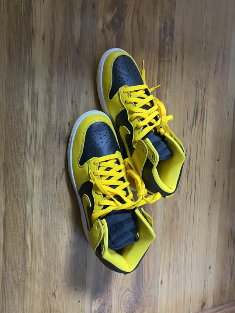 나이키 덩크하이 SP 검노(바시티 메이즈)