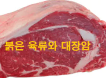 붉은-육류-사진