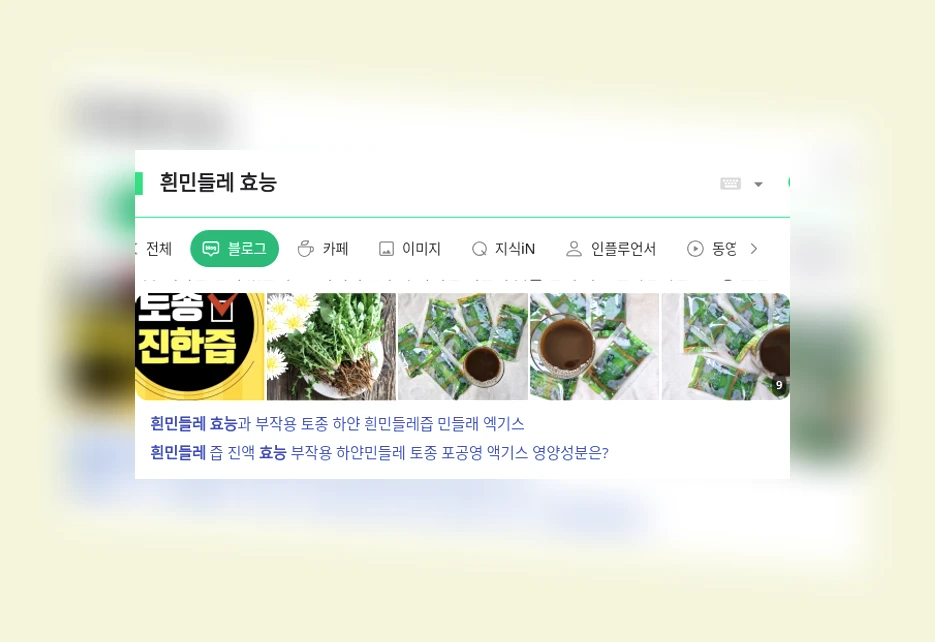 흰민들레 효능_1_subsection