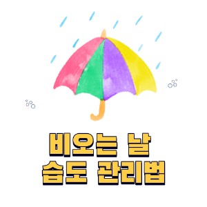 비오는 날 습도 관리법
