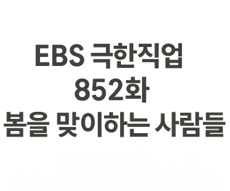 EBS극한직업 852화