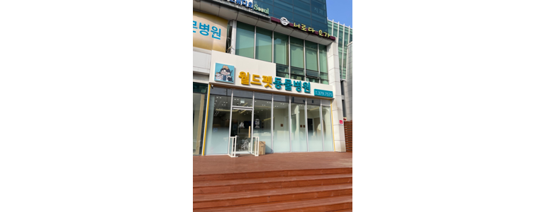 서울 종로구 동물병원