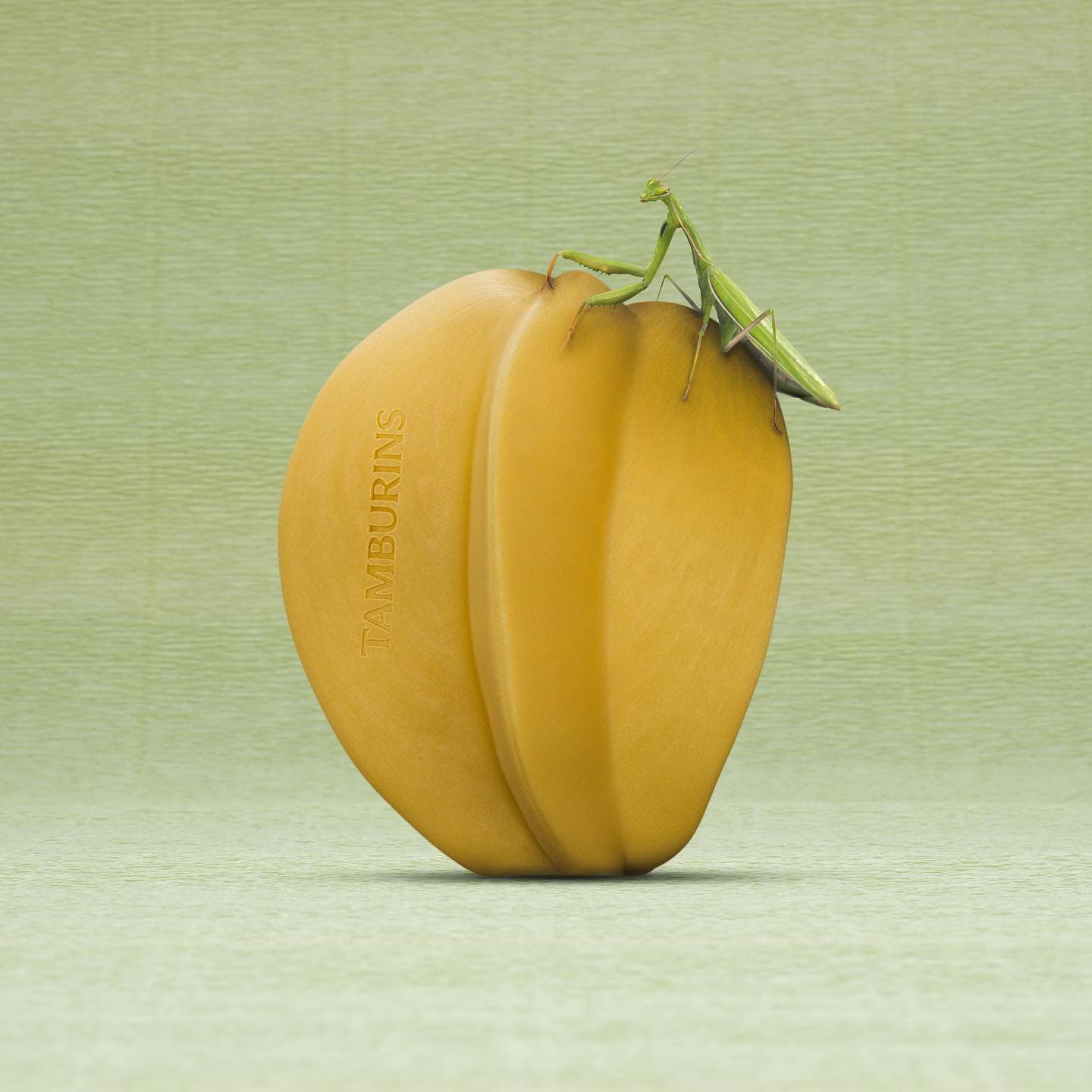 탬버린즈-퍼퓸-비누