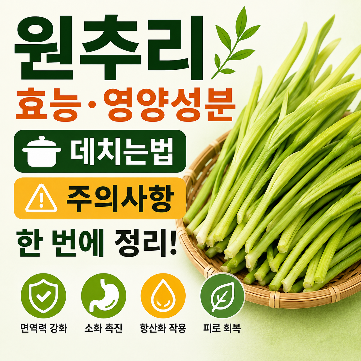 원추리 효능