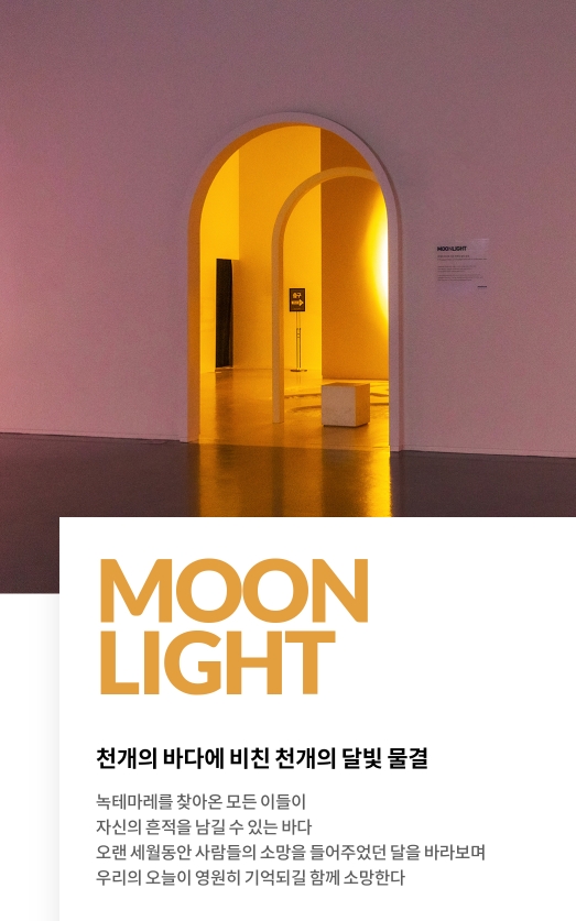 여수파빌리온 녹테마라 설명