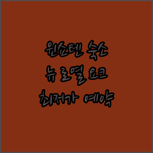네덜란드 윈쇼텐, 호텔 어디로? 뉴 ..