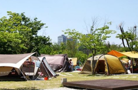 경기도 여주 금은모래캠핑장