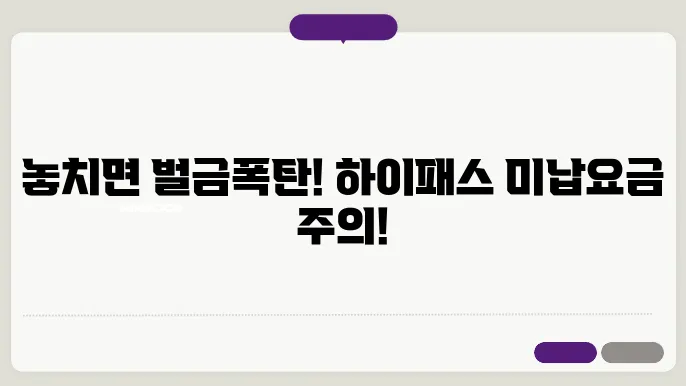 하이패스 미납요금