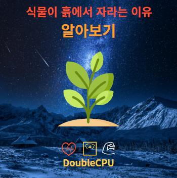 식물이 흙에서 자라는 이유