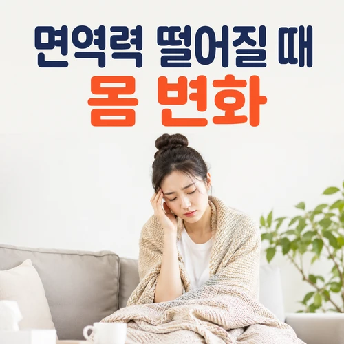면역력 떨어질 때 몸 변화