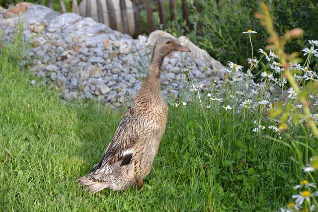 서울시 운동비 지원