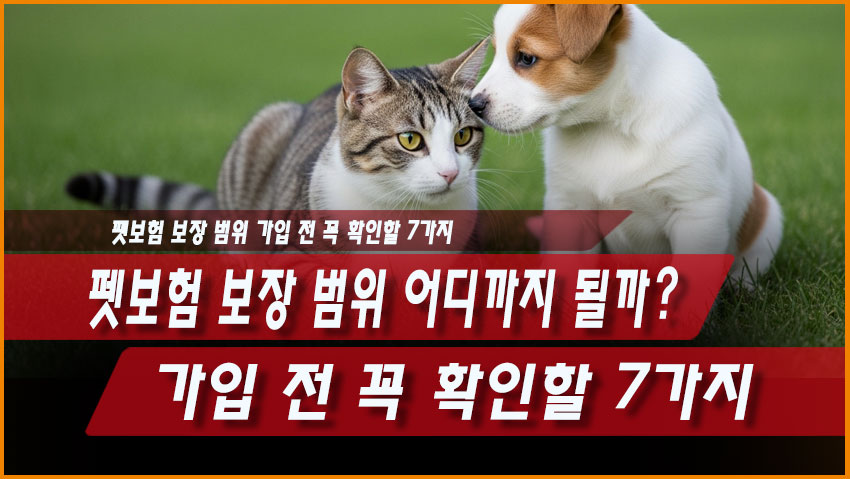 펫보험 보장 범위 어디까지 될까? 가입 전 꼭 확인할 7가지