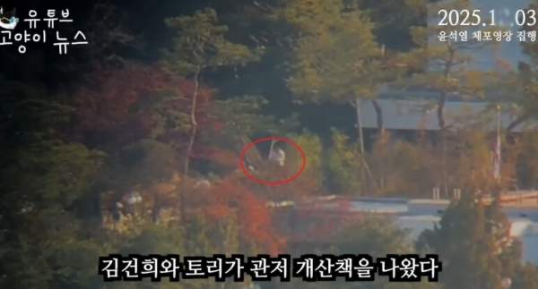 고양이뉴스 원재윤 피디 프로필