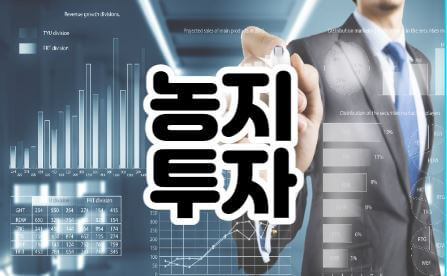 농지투자