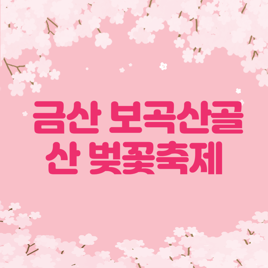 2025 금산 보곡산골 산벚꽃축제 일정 맛집 주차 꿀팁 정리