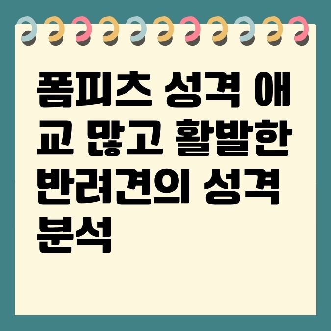 폼피츠 성격 애교 많고 활발한 반려견의 성격 분석