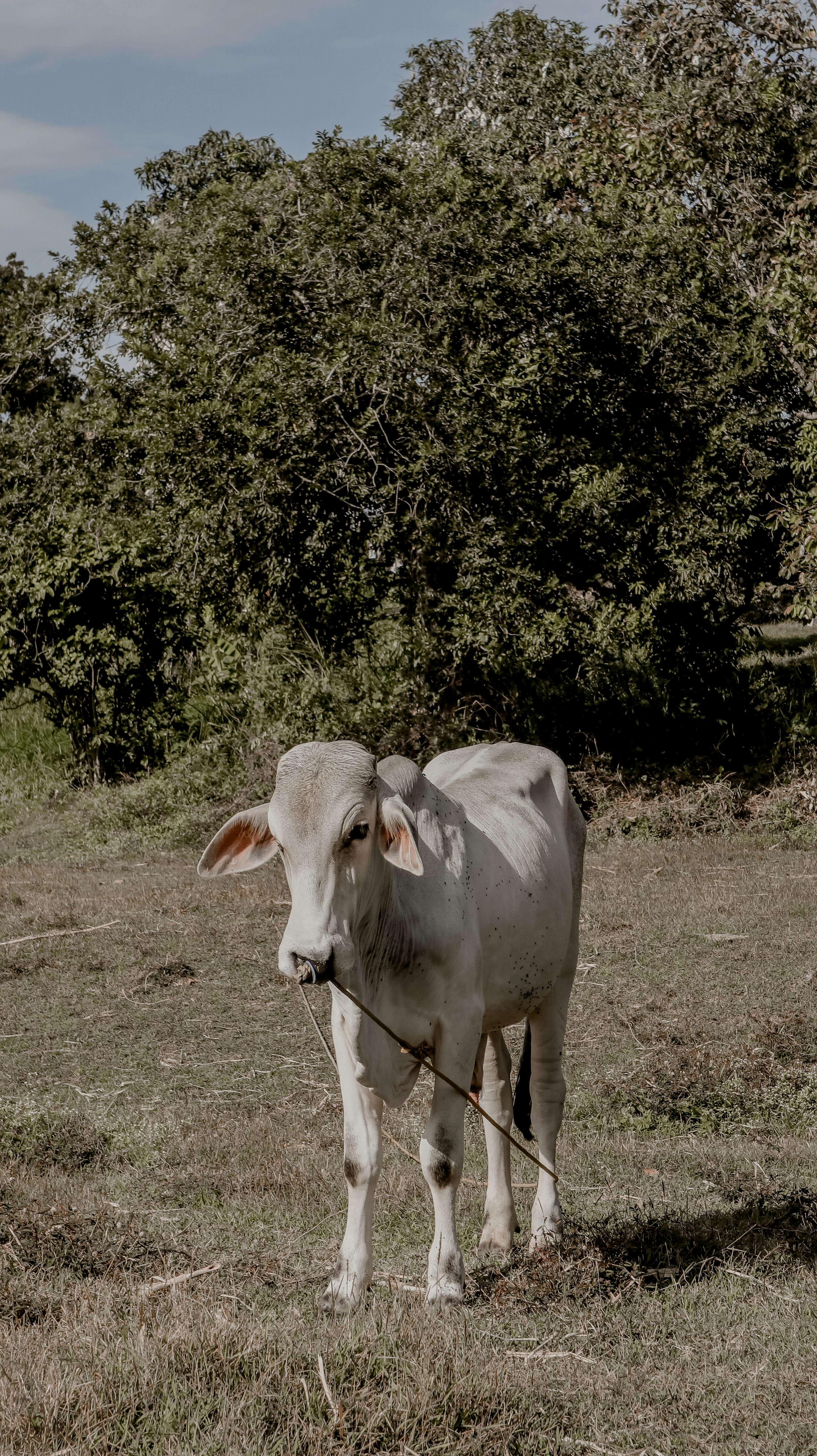 농업직불금 신청자격 완전 정리|누가 받을 수 있을까