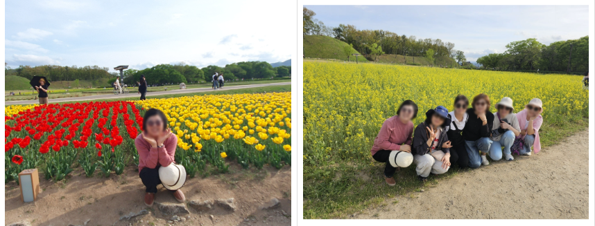 첨성대-튤립-유채꽃