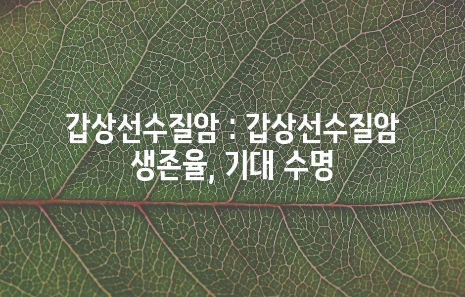샘플 (43)