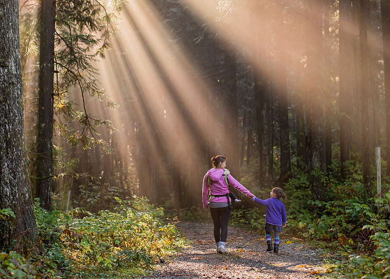 양육비 선지급제 신청방법
